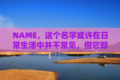NAME，这个名字或许在日常生活中并不常见，但它却在某些领域里扮演着重要的角色。今天，让我们一起来探索这个名字背后的故事和意义